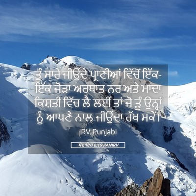 Picture 05 - ਪੈਦਾਇਸ਼ 6:19 PANIRV - ਤੂੰ ਸਾਰੇ ਜੀਉਂਦੇ - Bible Verse Picture