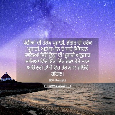Picture 05 - ਪੈਦਾਇਸ਼ 6:20 PANIRV - ਪੰਛੀਆਂ ਦੀ ਹਰੇਕ - Bible Verse Picture