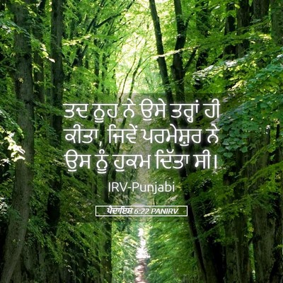 Picture 05 - ਪੈਦਾਇਸ਼ 6:22 PANIRV - ਤਦ ਨੂਹ ਨੇ ਉਸੇ - Bible Verse Picture