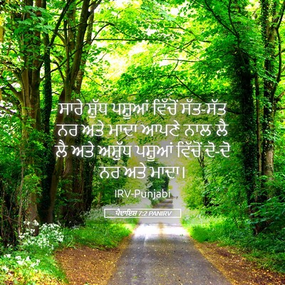 Picture 05 - ਪੈਦਾਇਸ਼ 7:2 PANIRV - ਸਾਰੇ ਸ਼ੁੱਧ ਪਸ਼ੂਆਂ - Bible Verse Picture