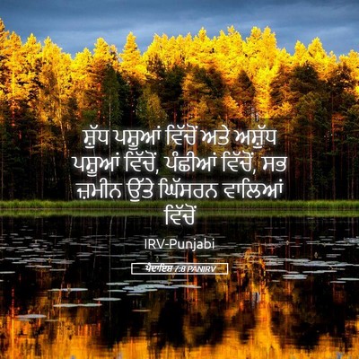 Picture 05 - ਪੈਦਾਇਸ਼ 7:8 PANIRV - ਸ਼ੁੱਧ ਪਸ਼ੂਆਂ - Bible Verse Picture