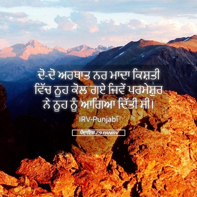 Picture 05 - ਪੈਦਾਇਸ਼ 7:9 PANIRV - ਦੋ-ਦੋ ਅਰਥਾਤ ਨਰ ਮਾਦਾ - Bible Verse Picture