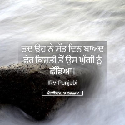 Picture 05 - ਪੈਦਾਇਸ਼ 8:10 PANIRV - ਤਦ ਉਹ ਨੇ ਸੱਤ ਦਿਨ - Bible Verse Picture