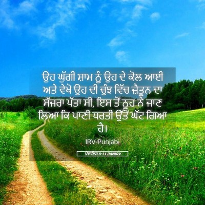 Picture 05 - ਪੈਦਾਇਸ਼ 8:11 PANIRV - ਉਹ ਘੁੱਗੀ ਸ਼ਾਮ ਨੂੰ - Bible Verse Picture