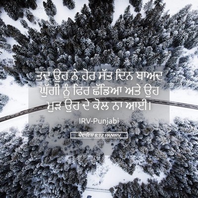 Picture 05 - ਪੈਦਾਇਸ਼ 8:12 PANIRV - ਤਦ ਉਹ ਨੇ ਹੋਰ ਸੱਤ - Bible Verse Picture
