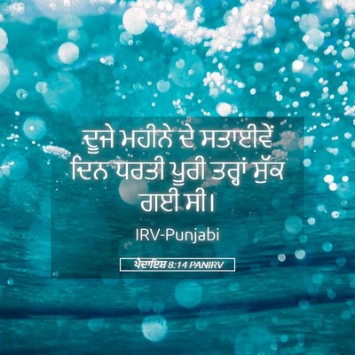 Picture 05 - ਪੈਦਾਇਸ਼ 8:14 PANIRV - ਦੂਜੇ ਮਹੀਨੇ ਦੇ - Bible Verse Picture