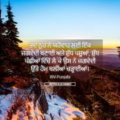 Picture 05 - ਪੈਦਾਇਸ਼ 8:20 PANIRV - ਤਦ ਨੂਹ ਨੇ ਯਹੋਵਾਹ ਲਈ - Bible Verse Picture