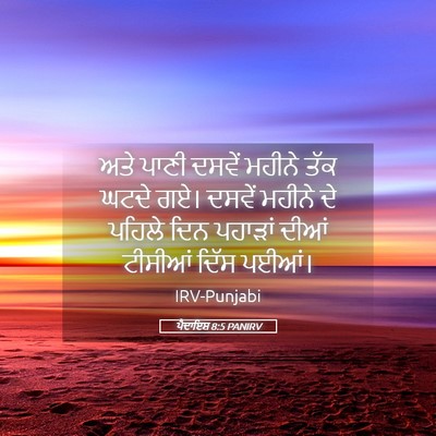 Picture 05 - ਪੈਦਾਇਸ਼ 8:5 PANIRV - ਅਤੇ ਪਾਣੀ ਦਸਵੇਂ - Bible Verse Picture