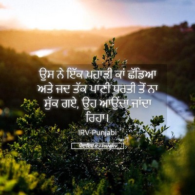 Picture 05 - ਪੈਦਾਇਸ਼ 8:7 PANIRV - ਉਸ ਨੇ ਇੱਕ ਪਹਾੜੀ ਕਾਂ - Bible Verse Picture