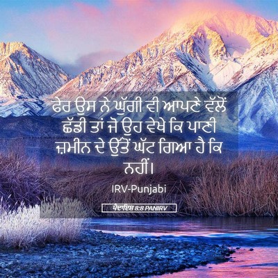 Picture 05 - ਪੈਦਾਇਸ਼ 8:8 PANIRV - ਫੇਰ ਉਸ ਨੇ ਘੁੱਗੀ ਵੀ - Bible Verse Picture
