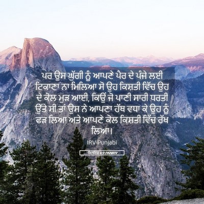 Picture 05 - ਪੈਦਾਇਸ਼ 8:9 PANIRV - ਪਰ ਉਸ ਘੁੱਗੀ ਨੂੰ - Bible Verse Picture