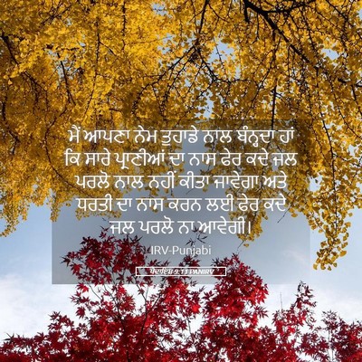 Picture 05 - ਪੈਦਾਇਸ਼ 9:11 PANIRV - ਮੈਂ ਆਪਣਾ ਨੇਮ - Bible Verse Picture