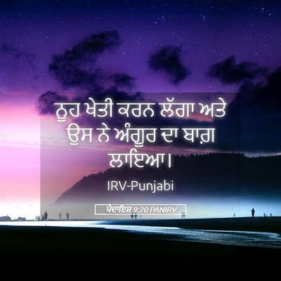Picture 05 - ਪੈਦਾਇਸ਼ 9:20 PANIRV - ਨੂਹ ਖੇਤੀ ਕਰਨ ਲੱਗਾ - Bible Verse Picture