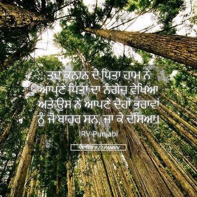 Picture 05 - ਪੈਦਾਇਸ਼ 9:22 PANIRV - ਤਦ ਕਨਾਨ ਦੇ ਪਿਤਾ ਹਾਮ - Bible Verse Picture