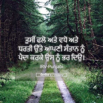 Picture 05 - ਪੈਦਾਇਸ਼ 9:7 PANIRV - ਤੁਸੀਂ ਫਲੋ ਅਤੇ ਵਧੋ - Bible Verse Picture