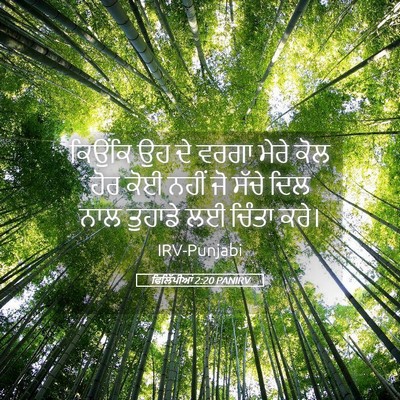 Picture 05 - ਫਿਲਿੱਪੀਆਂ 2:20 PANIRV - ਕਿਉਂਕਿ ਉਹ ਦੇ ਵਰਗਾ - Bible Verse Picture