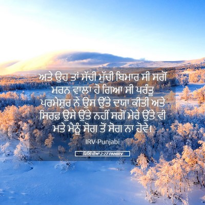 Picture 05 - ਫਿਲਿੱਪੀਆਂ 2:27 PANIRV - ਅਤੇ ਉਹ ਤਾਂ ਸੱਚੀ - Bible Verse Picture