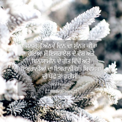Picture 05 - ਫਿਲਿੱਪੀਆਂ 3:5 PANIRV - ਜਨਮ ਤੋਂ ਅੱਠਵੇਂ ਦਿਨ - Bible Verse Picture