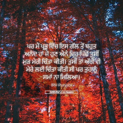 Picture 05 - ਫਿਲਿੱਪੀਆਂ 4:10 PANIRV - ਪਰ ਮੈਂ ਪ੍ਰਭੂ ਵਿੱਚ - Bible Verse Picture