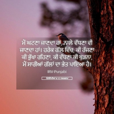 Picture 05 - ਫਿਲਿੱਪੀਆਂ 4:12 PANIRV - ਮੈਂ ਘਟਣਾ ਜਾਣਦਾ ਹਾਂ, - Bible Verse Picture