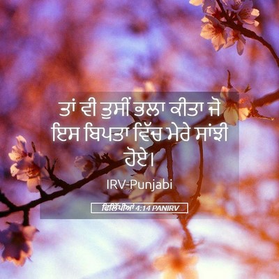 Picture 05 - ਫਿਲਿੱਪੀਆਂ 4:14 PANIRV - ਤਾਂ ਵੀ ਤੁਸੀਂ ਭਲਾ - Bible Verse Picture