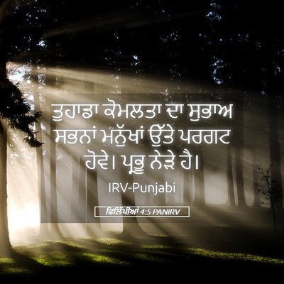 Picture 05 - ਫਿਲਿੱਪੀਆਂ 4:5 PANIRV - ਤੁਹਾਡਾ ਕੋਮਲਤਾ ਦਾ - Bible Verse Picture