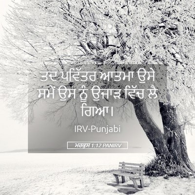 Picture 05 - ਮਰਕੁਸ 1:12 PANIRV - ਤਦ ਪਵਿੱਤਰ ਆਤਮਾ ਉਸੇ - Bible Verse Picture