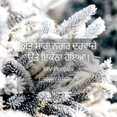 Picture 05 - ਮਰਕੁਸ 1:33 PANIRV - ਅਤੇ ਸਾਰਾ ਨਗਰ - Bible Verse Picture