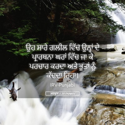 Picture 05 - ਮਰਕੁਸ 1:39 PANIRV - ਉਹ ਸਾਰੇ ਗਲੀਲ ਵਿੱਚ - Bible Verse Picture