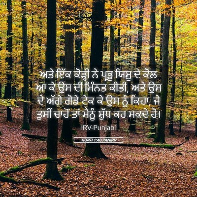 Picture 05 - ਮਰਕੁਸ 1:40 PANIRV - ਅਤੇ ਇੱਕ ਕੋੜ੍ਹੀ ਨੇ - Bible Verse Picture