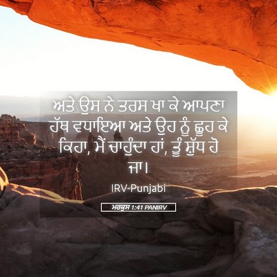 Picture 05 - ਮਰਕੁਸ 1:41 PANIRV - ਅਤੇ ਉਸ ਨੇ ਤਰਸ ਖਾ ਕੇ - Bible Verse Picture
