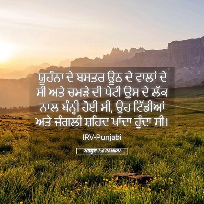 Picture 05 - ਮਰਕੁਸ 1:6 PANIRV - ਯੂਹੰਨਾ ਦੇ ਬਸਤਰ ਊਠ - Bible Verse Picture