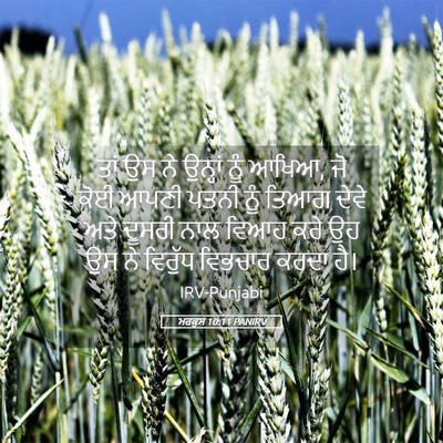 Picture 05 - ਮਰਕੁਸ 10:11 PANIRV - ਤਾਂ ਉਸ ਨੇ ਉਨ੍ਹਾਂ - Bible Verse Picture