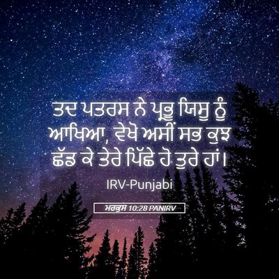Picture 05 - ਮਰਕੁਸ 10:28 PANIRV - ਤਦ ਪਤਰਸ ਨੇ ਪ੍ਰਭੂ - Bible Verse Picture