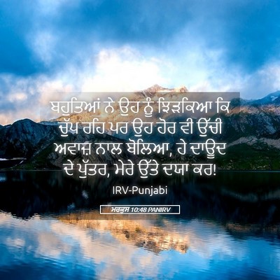 Picture 05 - ਮਰਕੁਸ 10:48 PANIRV - ਬਹੁਤਿਆਂ ਨੇ ਉਹ ਨੂੰ - Bible Verse Picture