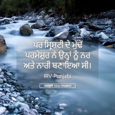 Picture 05 - ਮਰਕੁਸ 10:6 PANIRV - ਪਰ ਸ੍ਰਿਸ਼ਟੀ ਦੇ - Bible Verse Picture