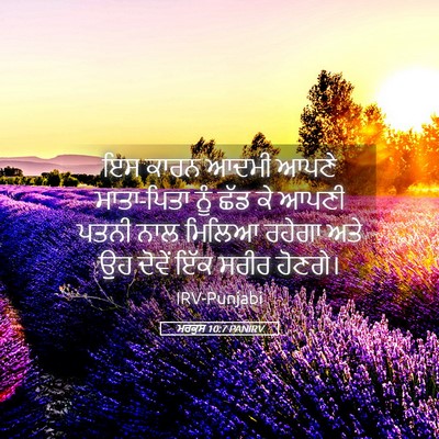 Picture 05 - ਮਰਕੁਸ 10:7 PANIRV - ਇਸ ਕਾਰਨ ਆਦਮੀ ਆਪਣੇ - Bible Verse Picture