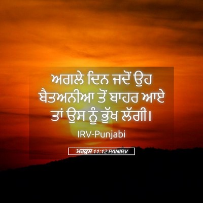 Picture 05 - ਮਰਕੁਸ 11:12 PANIRV - ਅਗਲੇ ਦਿਨ ਜਦੋਂ ਉਹ - Bible Verse Picture