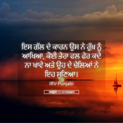 Picture 05 - ਮਰਕੁਸ 11:14 PANIRV - ਇਸ ਗੱਲ ਦੇ ਕਾਰਨ ਉਸ - Bible Verse Picture