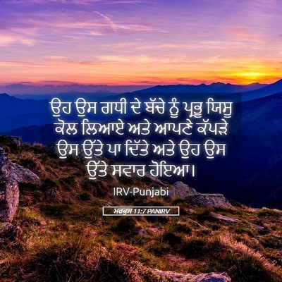 Picture 05 - ਮਰਕੁਸ 11:7 PANIRV - ਉਹ ਉਸ ਗਧੀ ਦੇ ਬੱਚੇ - Bible Verse Picture