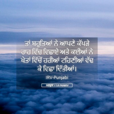 Picture 05 - ਮਰਕੁਸ 11:8 PANIRV - ਤਾਂ ਬਹੁਤਿਆਂ ਨੇ - Bible Verse Picture