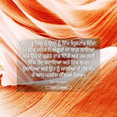 Picture 05 - ਮਰਕੁਸ 12:1 PANIRV - ਫੇਰ ਪ੍ਰਭੂ ਯਿਸੂ ਨੇ - Bible Verse Picture