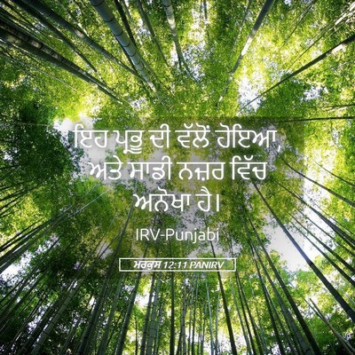 Picture 05 - ਮਰਕੁਸ 12:11 PANIRV - ਇਹ ਪ੍ਰਭੂ ਦੀ ਵੱਲੋਂ - Bible Verse Picture