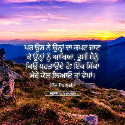 Picture 05 - ਮਰਕੁਸ 12:15 PANIRV - ਪਰ ਉਸ ਨੇ ਉਨ੍ਹਾਂ ਦਾ - Bible Verse Picture