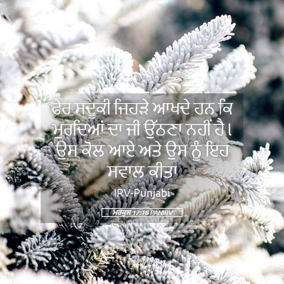Picture 05 - ਮਰਕੁਸ 12:18 PANIRV - ਫੇਰ ਸਦੂਕੀ ਜਿਹੜੇ - Bible Verse Picture