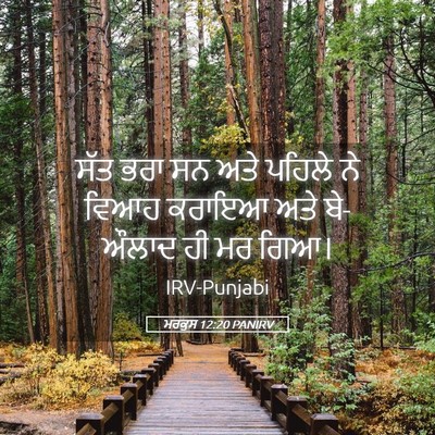 Picture 05 - ਮਰਕੁਸ 12:20 PANIRV - ਸੱਤ ਭਰਾ ਸਨ ਅਤੇ - Bible Verse Picture