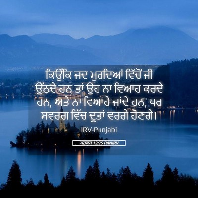 Picture 05 - ਮਰਕੁਸ 12:25 PANIRV - ਕਿਉਂਕਿ ਜਦ ਮੁਰਦਿਆਂ - Bible Verse Picture