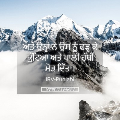 Picture 05 - ਮਰਕੁਸ 12:3 PANIRV - ਅਤੇ ਉਨ੍ਹਾਂ ਨੇ ਉਸ - Bible Verse Picture