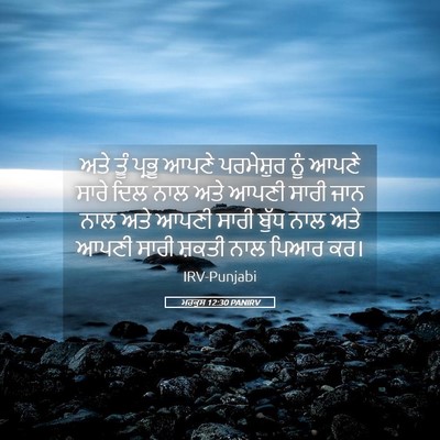 Picture 05 - ਮਰਕੁਸ 12:30 PANIRV - ਅਤੇ ਤੂੰ ਪ੍ਰਭੂ ਆਪਣੇ - Bible Verse Picture