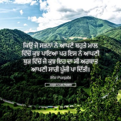 Picture 05 - ਮਰਕੁਸ 12:44 PANIRV - ਕਿਉਂ ਜੋ ਸਭਨਾਂ ਨੇ - Bible Verse Picture